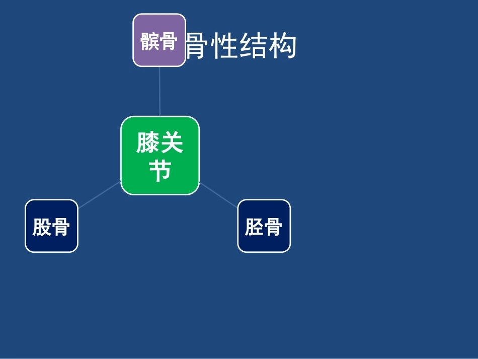 膝关节 解剖详细图解_第5页