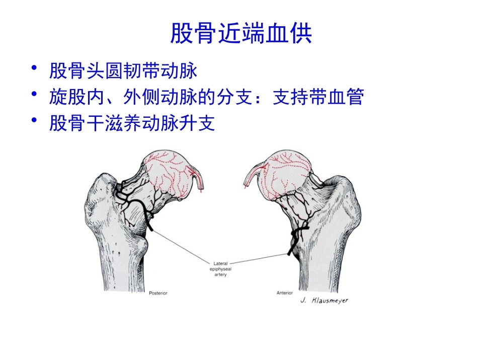 股骨颈骨折的诊断和治疗翻译_第2页