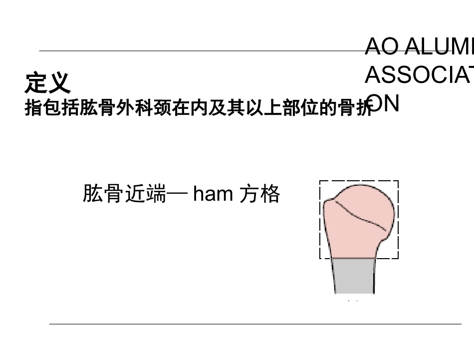 肱骨近端骨折的诊治_第2页
