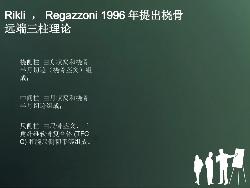 桡骨远端骨折分型_第11页