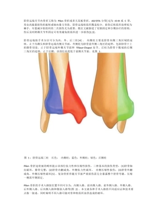 Pilon 骨折的手术入路解析