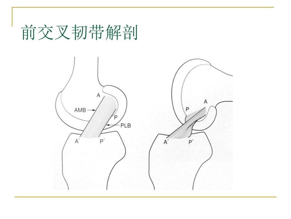膝关节损伤MRI诊断问 题分析_第5页