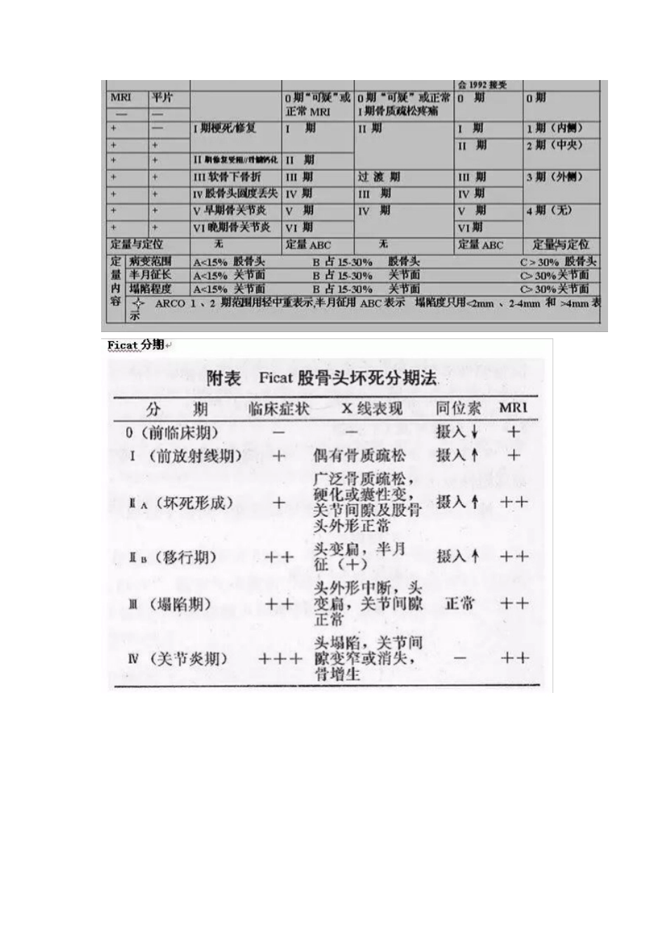 股骨头坏死的分型治疗_第3页