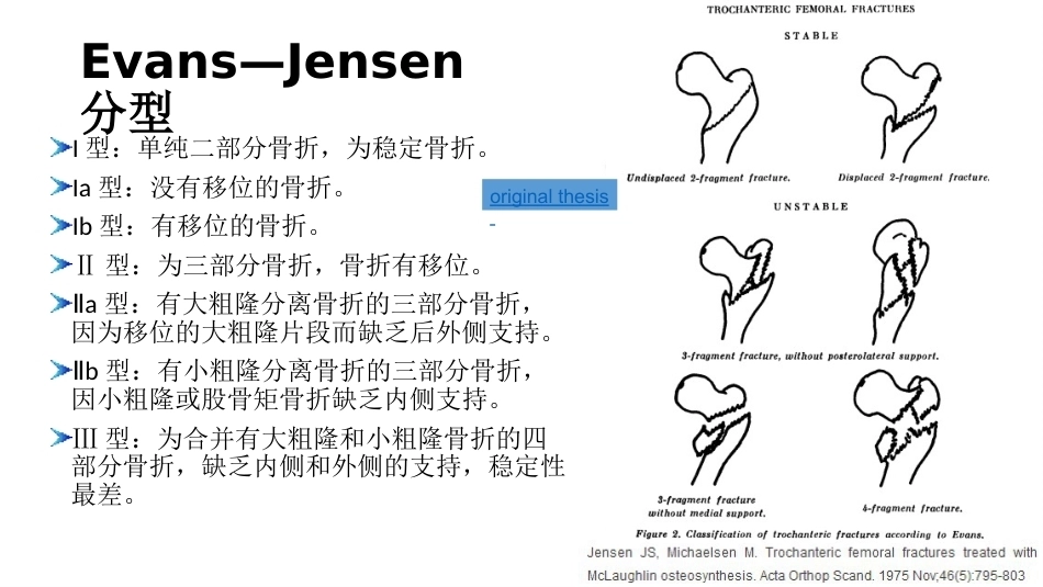 股骨粗隆间分型_第7页