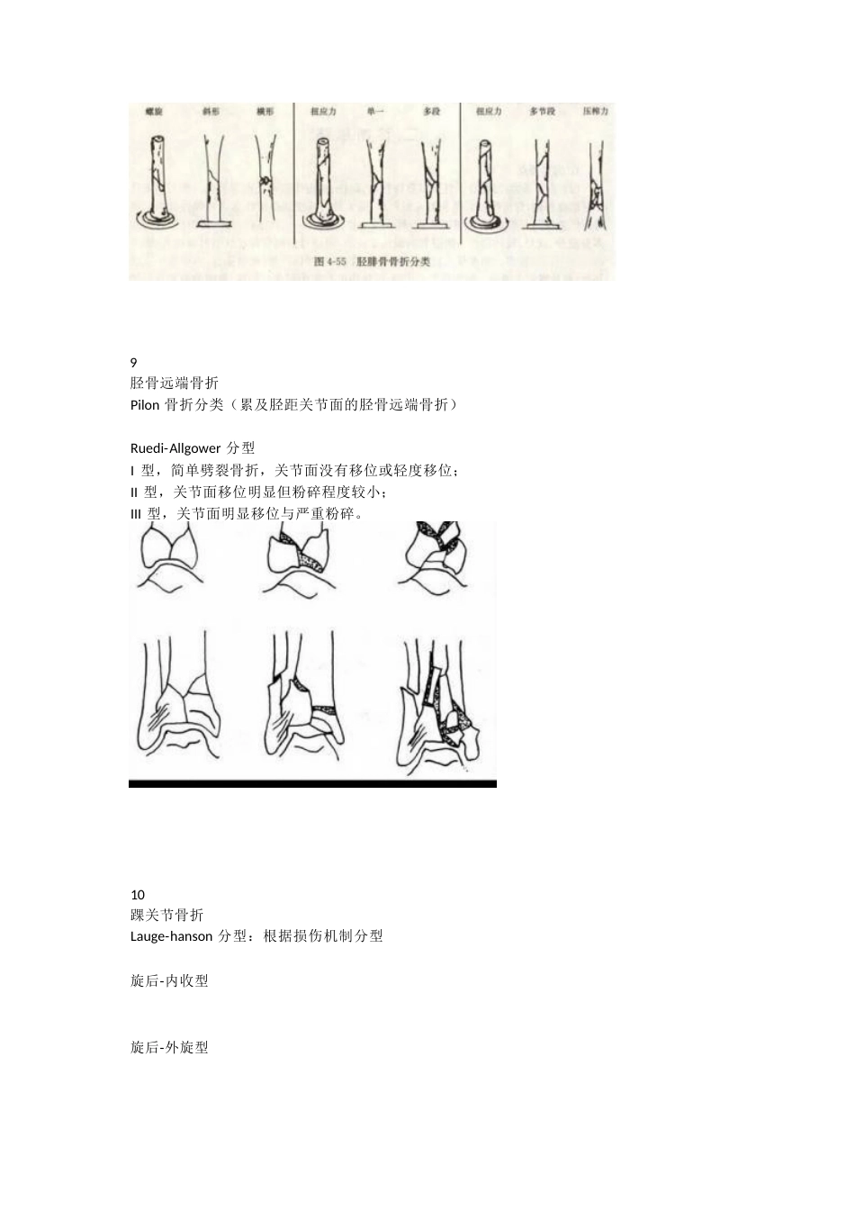 下肢骨折分型大全_第10页