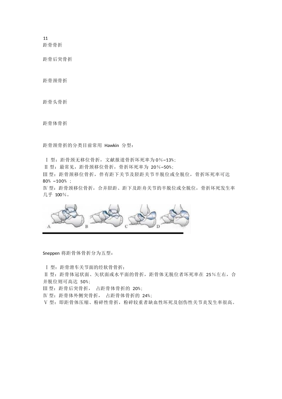 下肢骨折分型大全_第13页