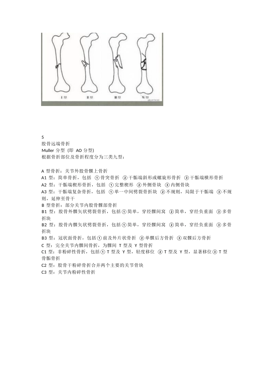 下肢骨折分型大全_第6页