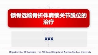 锁骨远端骨折伴肩锁 关节脱位的治疗
