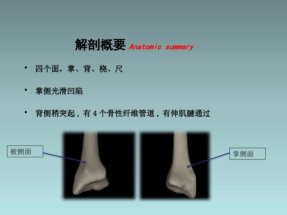 桡骨远端骨折的治疗_第4页