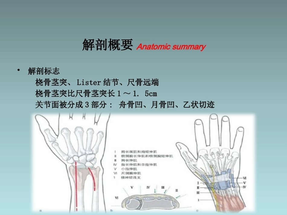 桡骨远端骨折的治疗_第6页