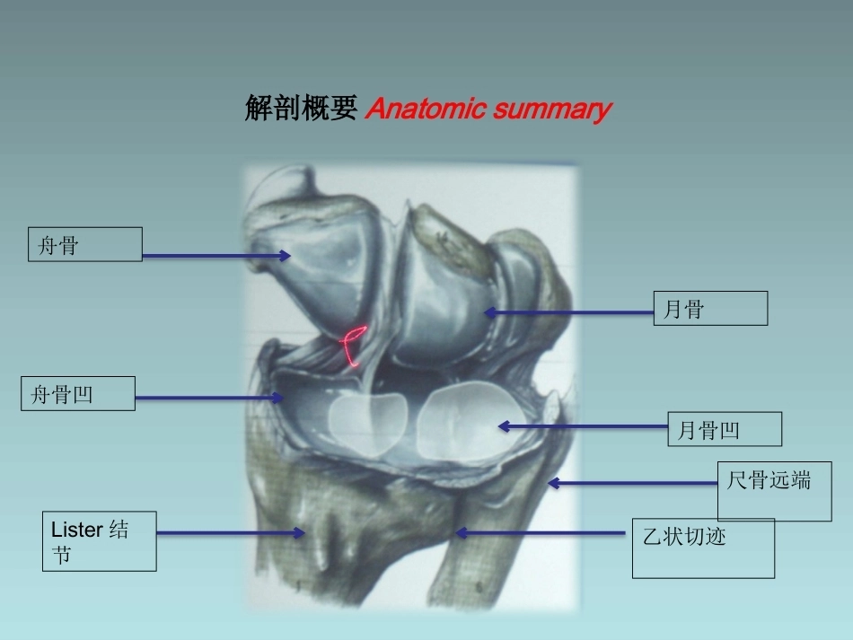桡骨远端骨折的治疗_第7页