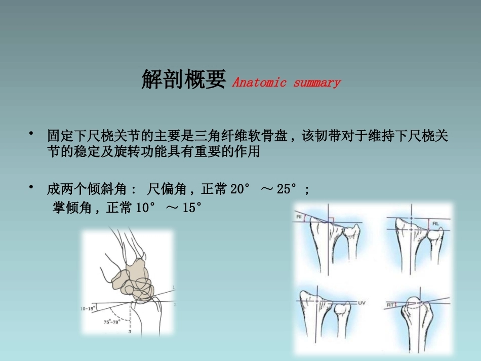 桡骨远端骨折的治疗_第8页