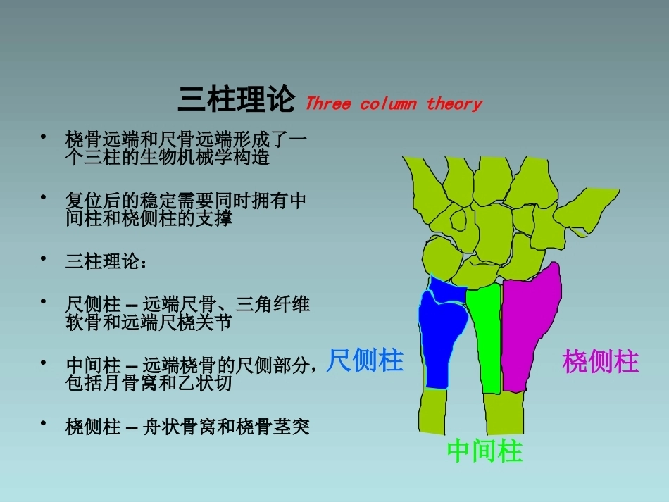 桡骨远端骨折的治疗_第9页