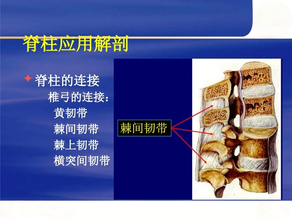 脊柱手术 体位摆放要点_第10页