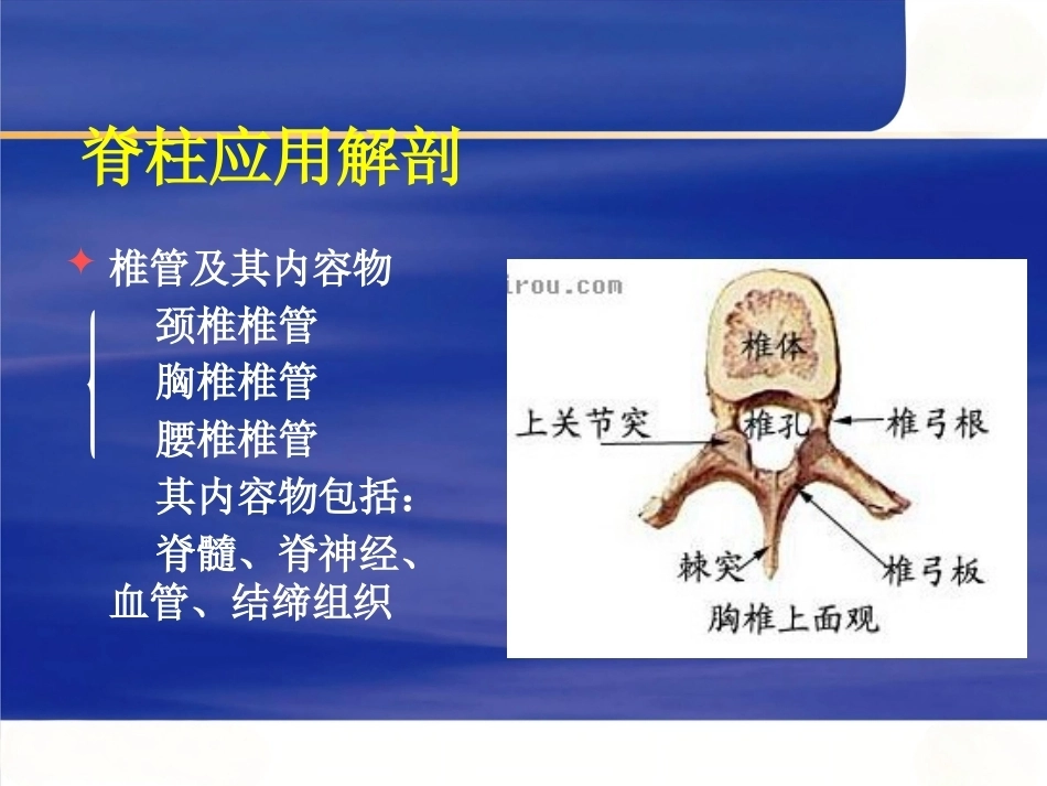 脊柱手术 体位摆放要点_第11页