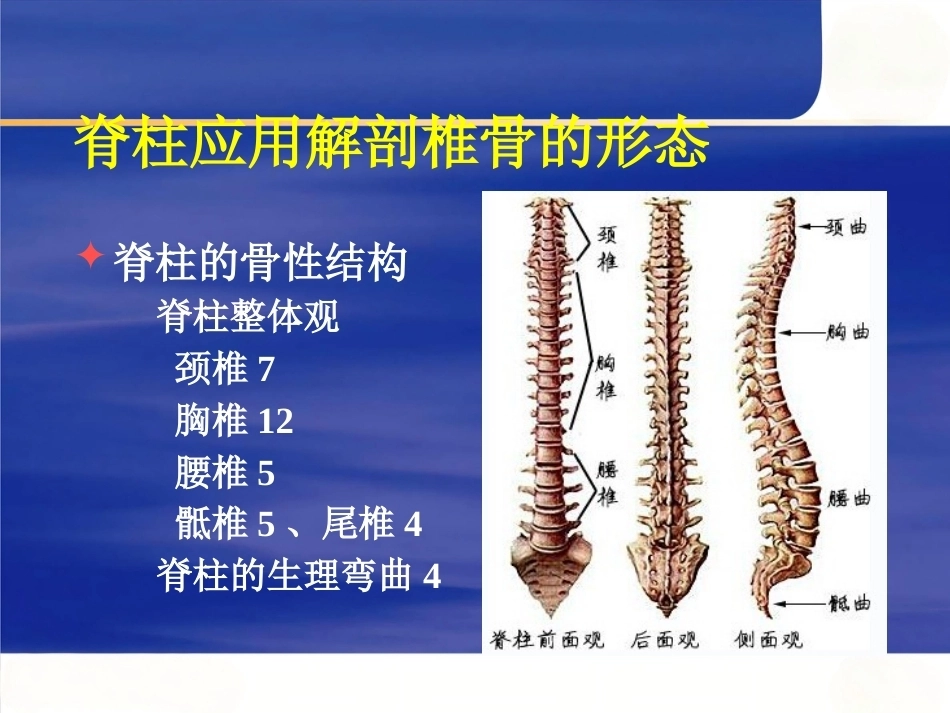 脊柱手术 体位摆放要点_第5页