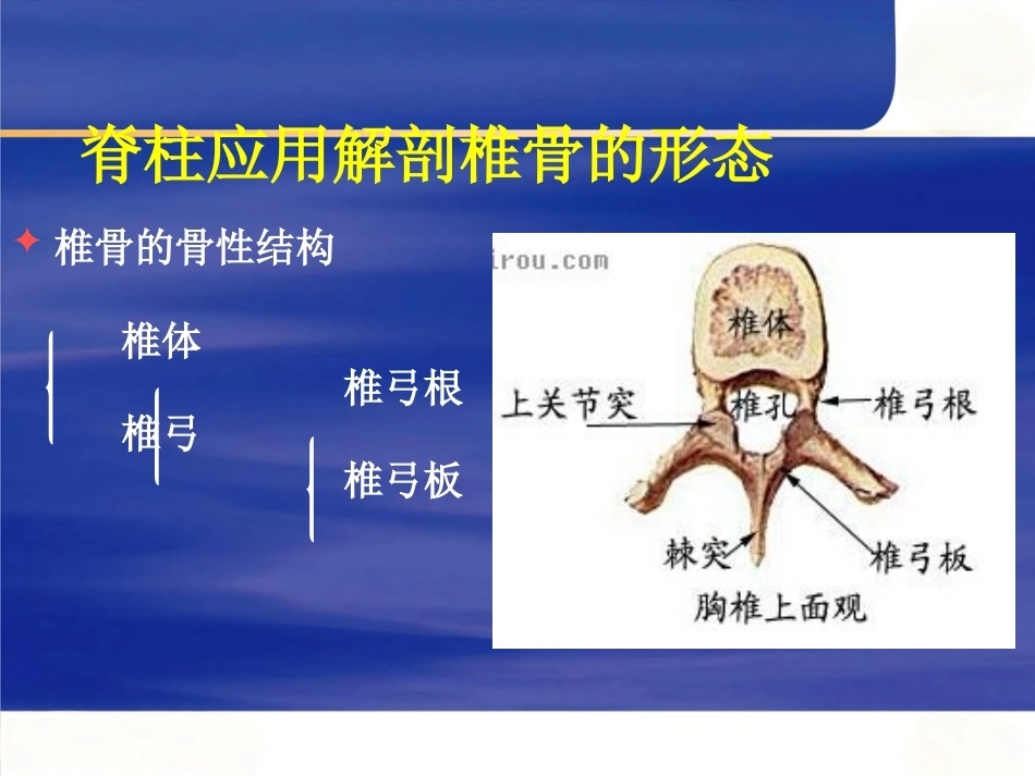 脊柱手术 体位摆放要点_第6页