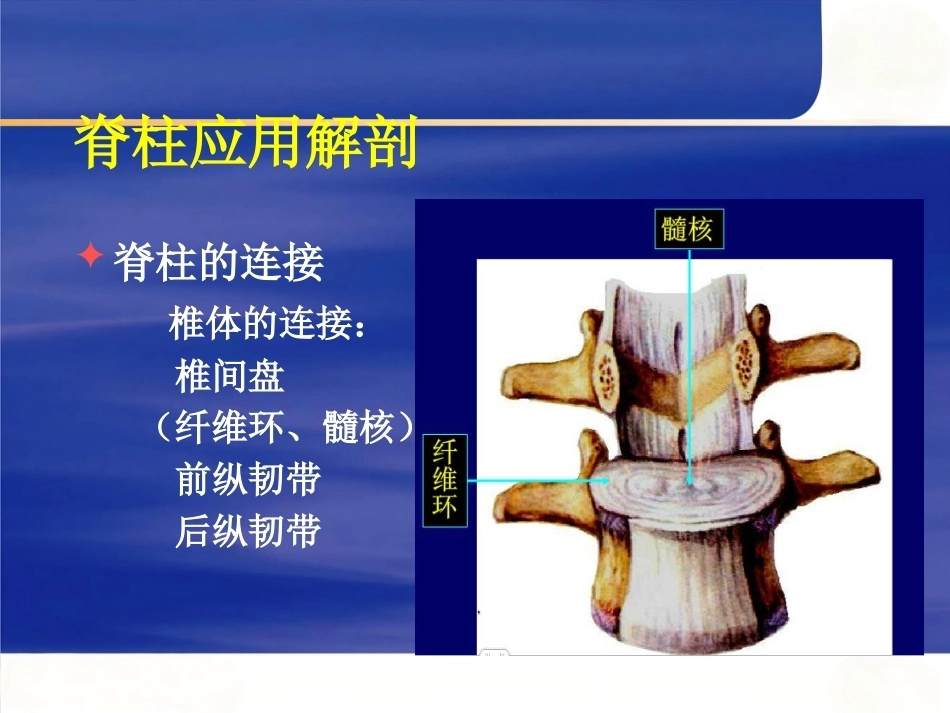 脊柱手术 体位摆放要点_第7页