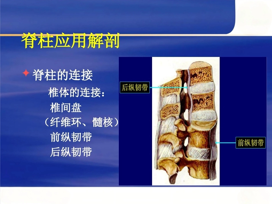 脊柱手术 体位摆放要点_第8页
