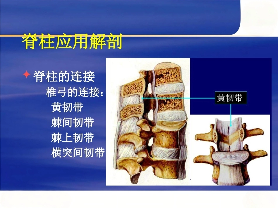 脊柱手术 体位摆放要点_第9页