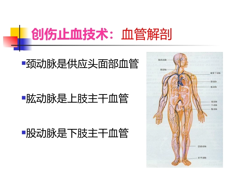 常见 外伤的急救_第4页