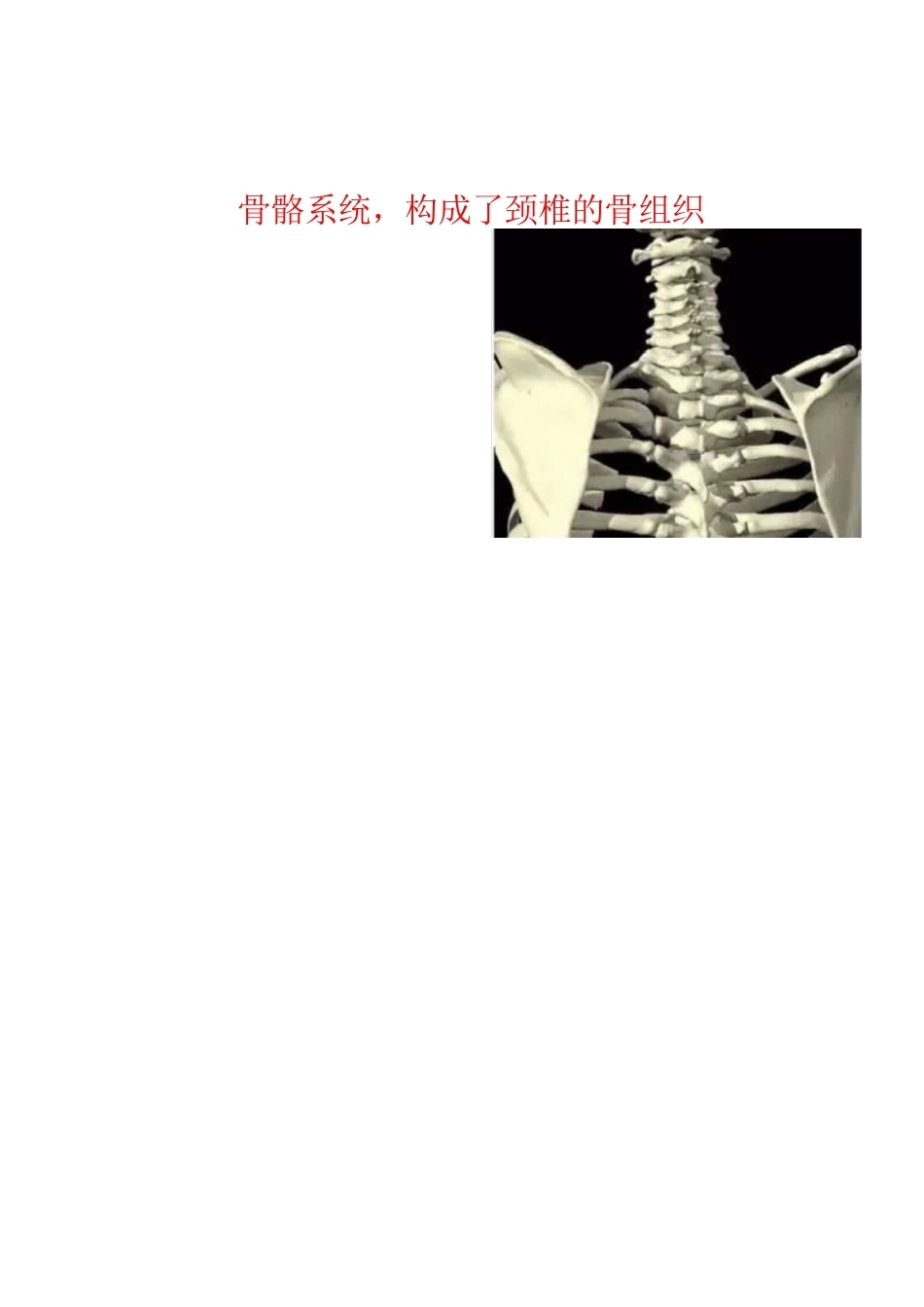 颈椎病的分型与治疗要点_第5页