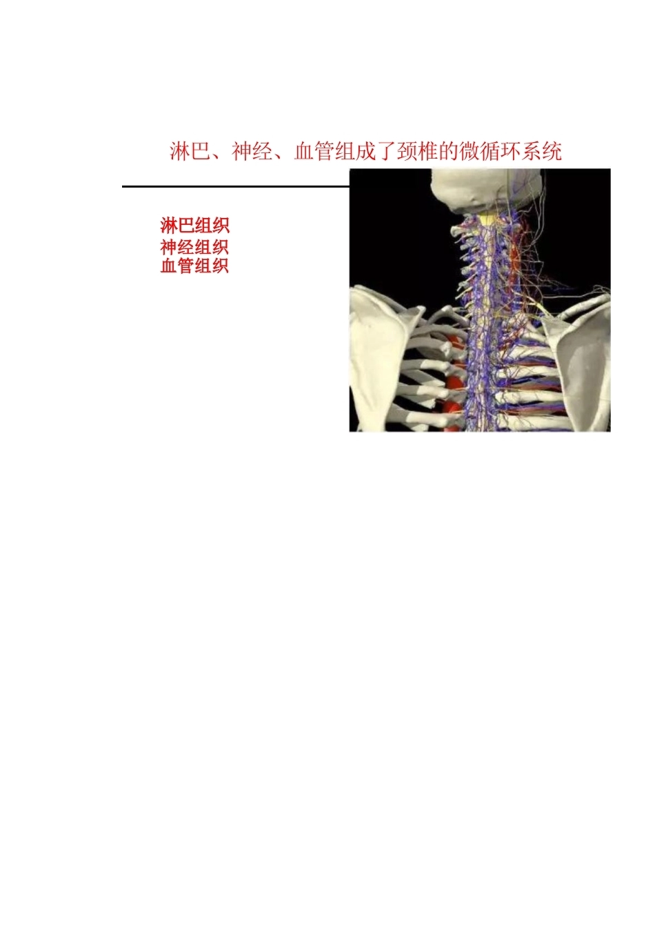 颈椎病的分型与治疗要点_第7页