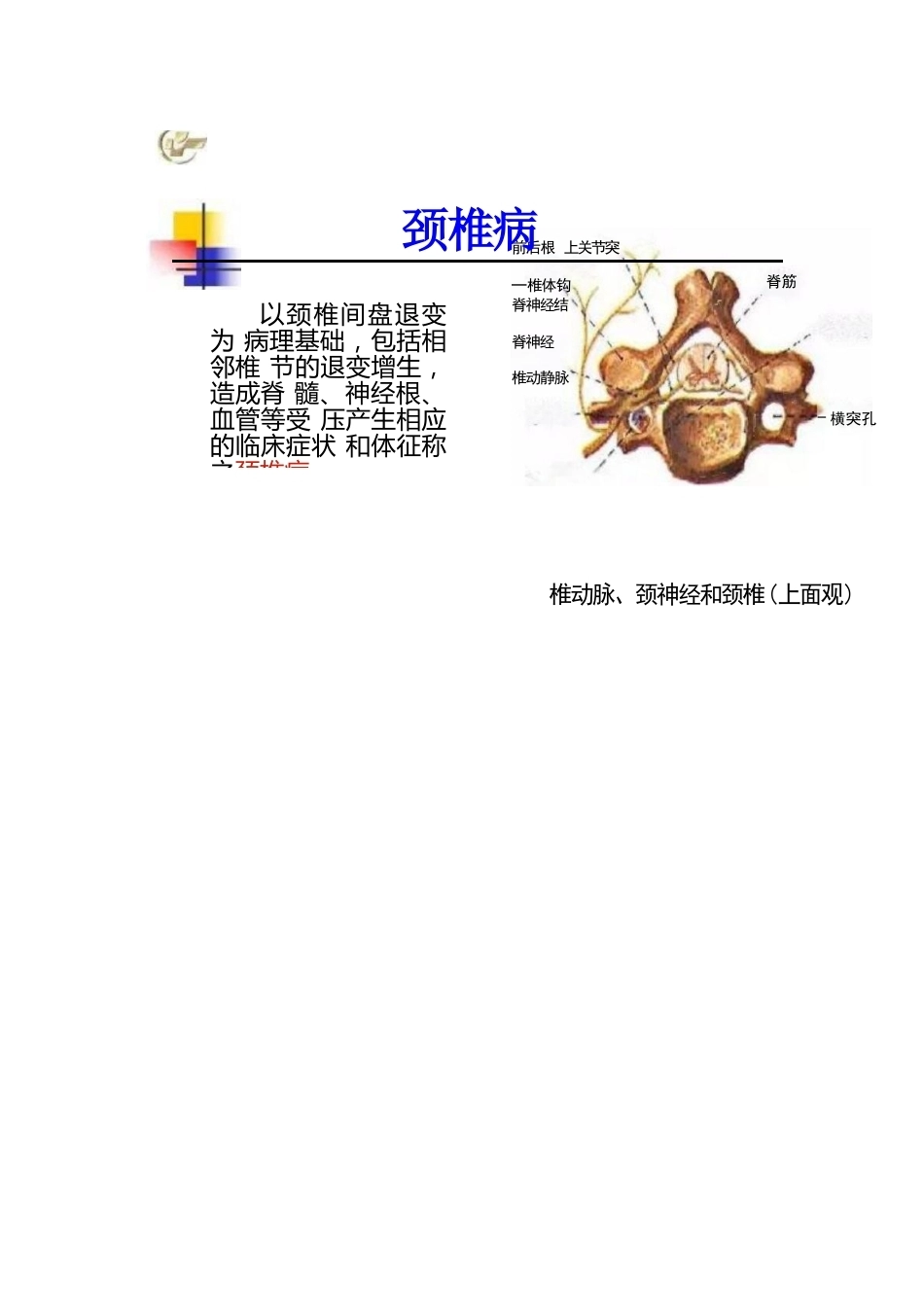 颈椎病的分型与治疗要点_第8页