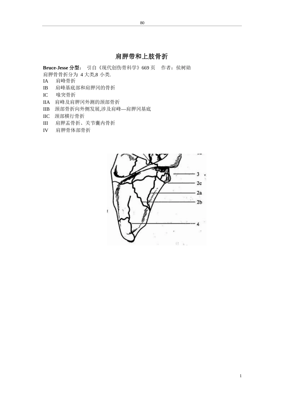 骨科诊断分型_第2页