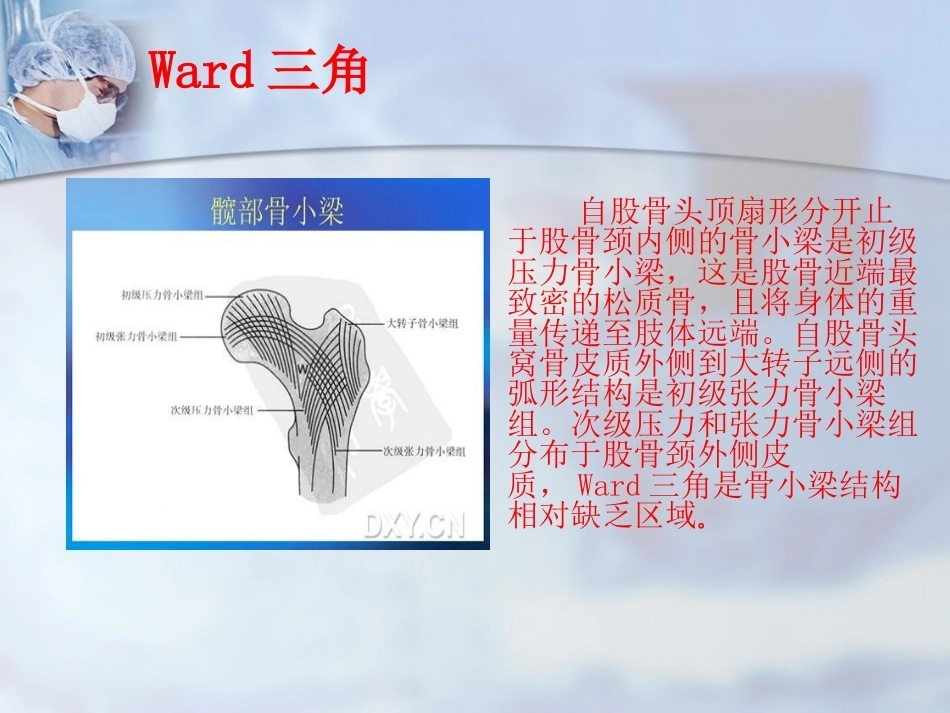 股骨转子间骨折的治疗：髓内or髓外_第6页