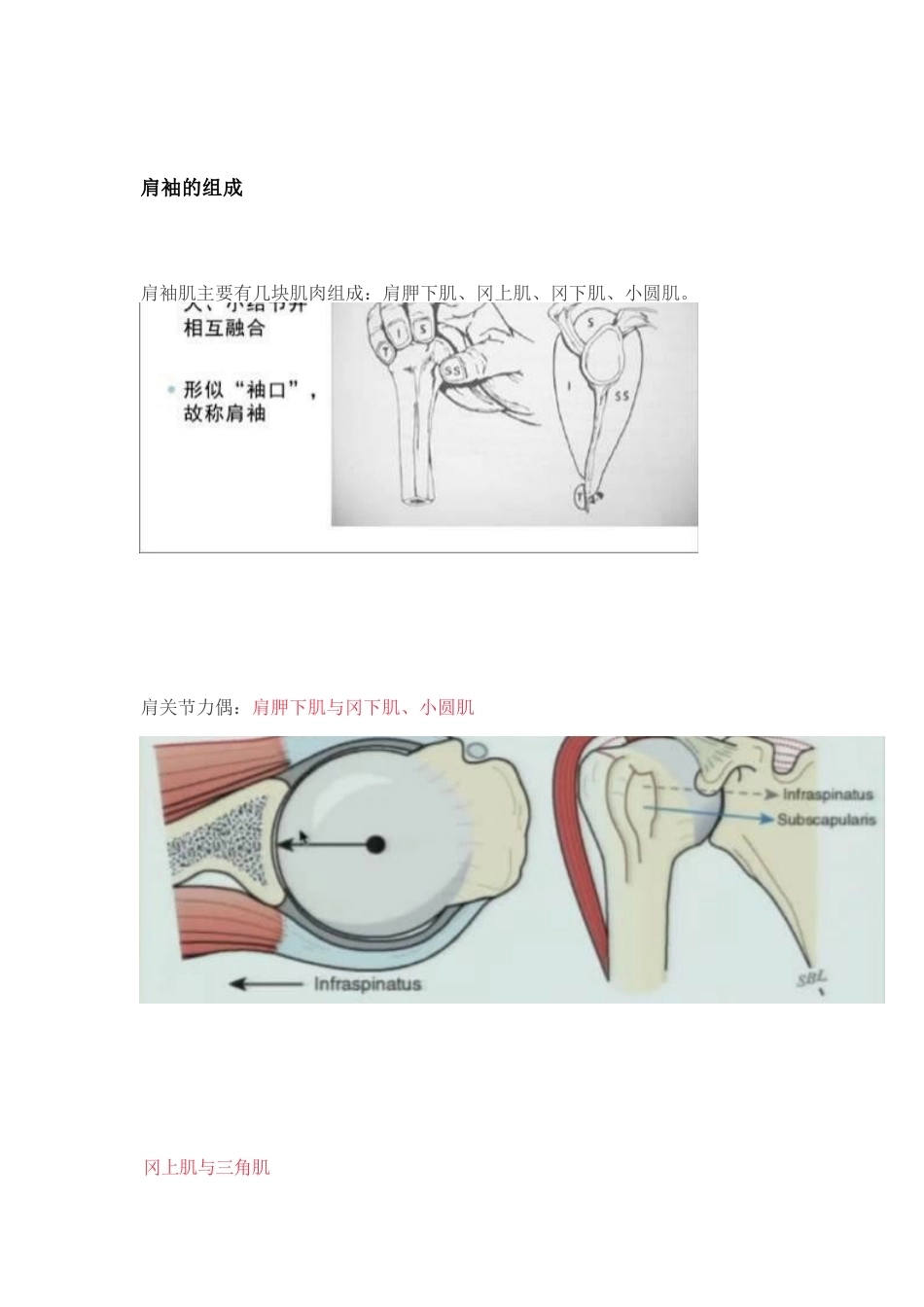 肩袖损伤的诊 断和治疗_第1页