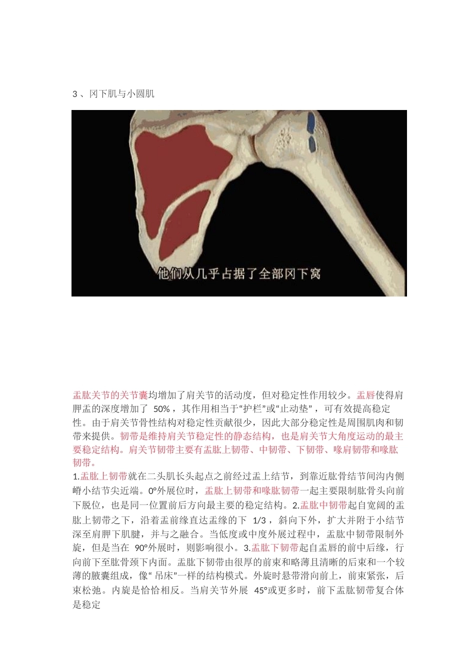 肩袖损伤的诊 断和治疗_第4页