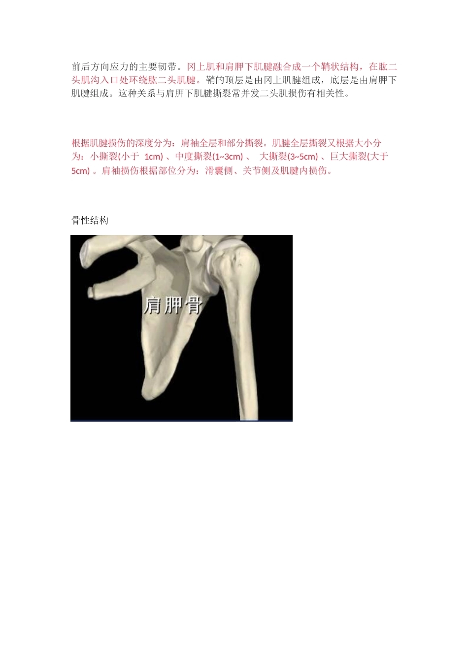 肩袖损伤的诊 断和治疗_第5页