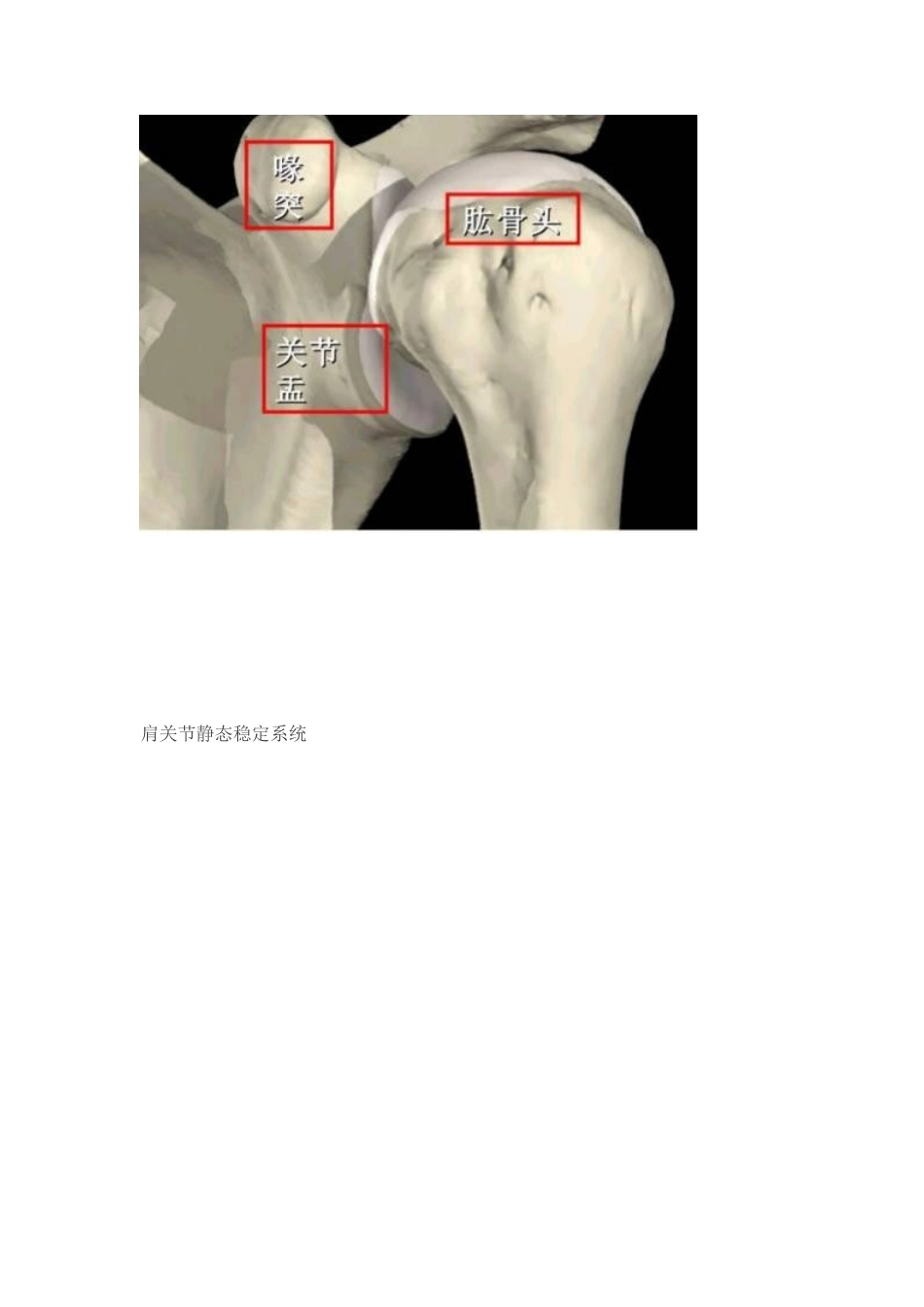 肩袖损伤的诊 断和治疗_第6页