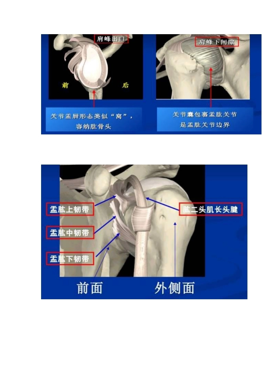 肩袖损伤的诊 断和治疗_第7页