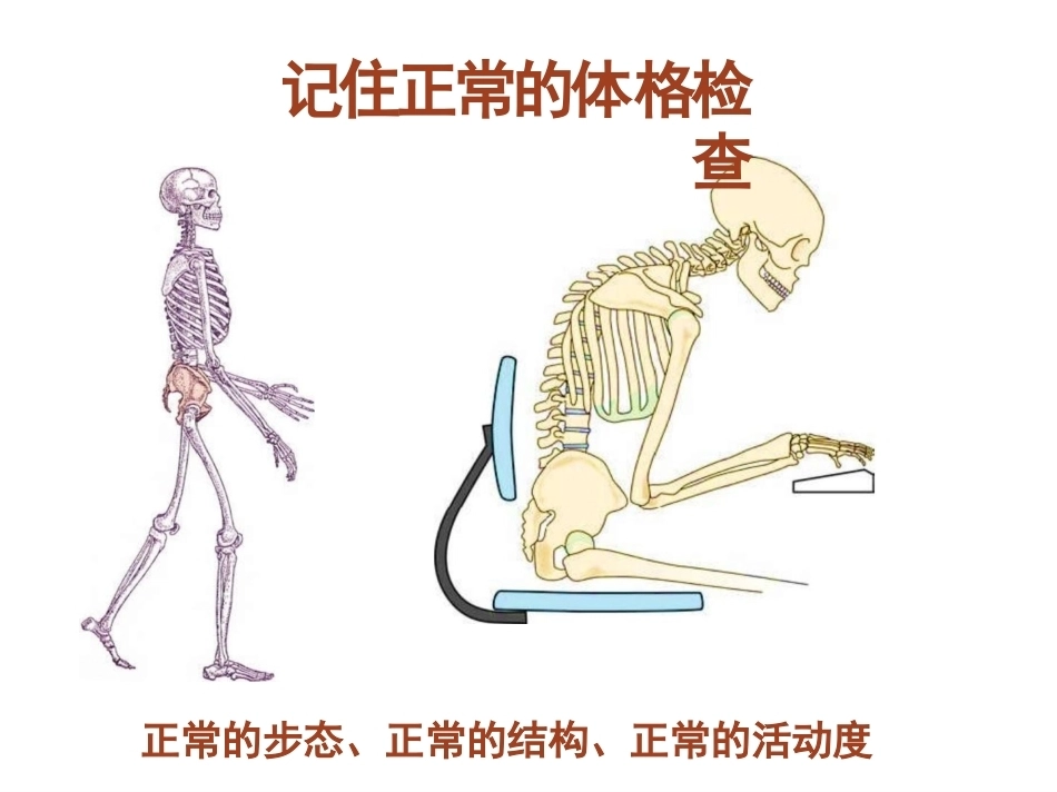 骨科体 格检查_第6页
