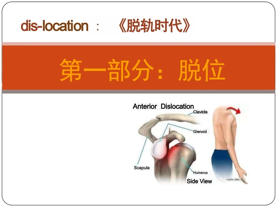 骨科体 格检查_第8页