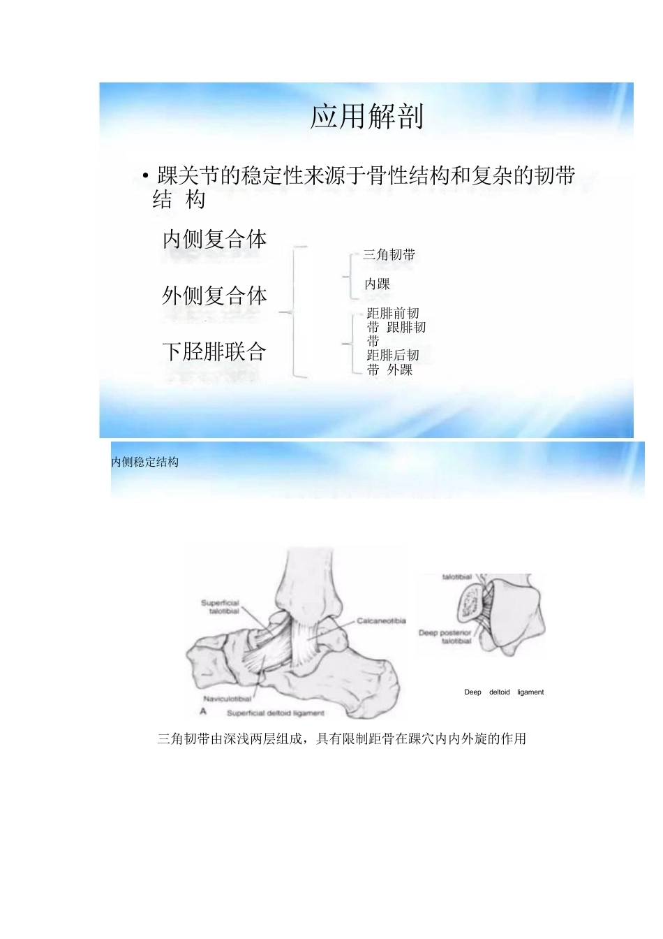 踝关节骨折的分型及治疗_第1页