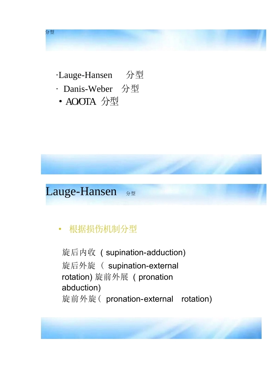 踝关节骨折的分型及治疗_第10页