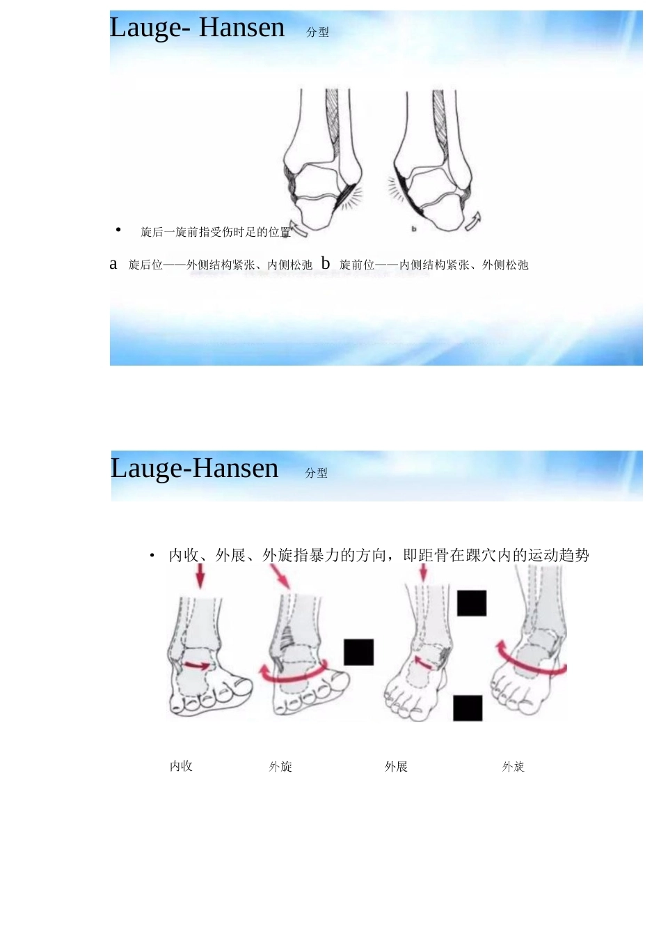 踝关节骨折的分型及治疗_第11页