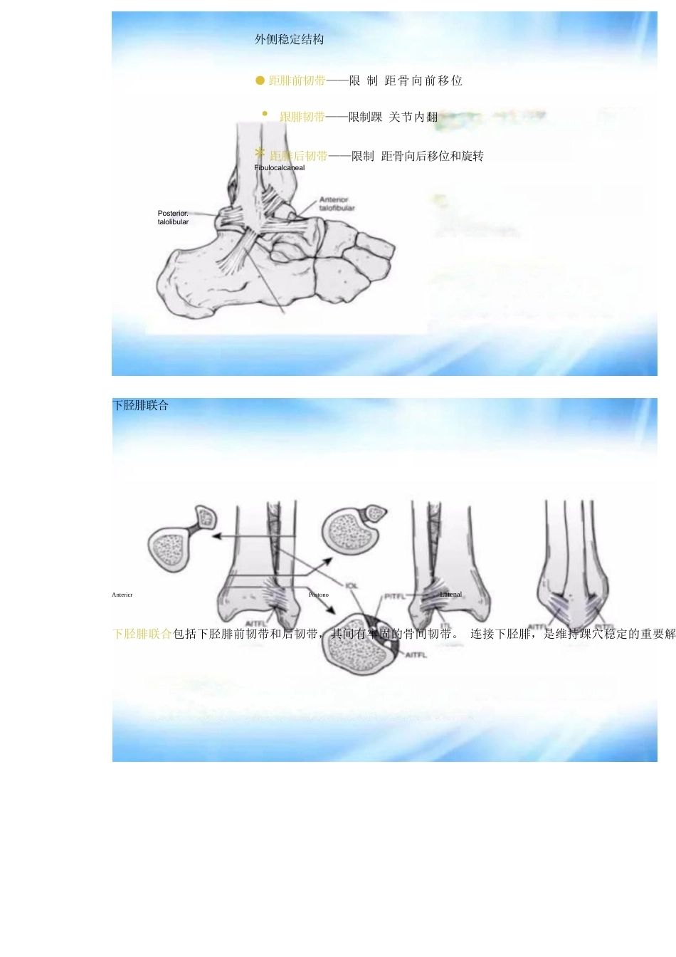 踝关节骨折的分型及治疗_第2页
