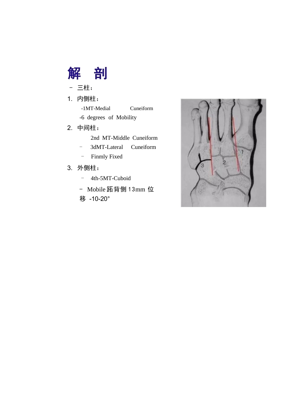 跖跗关节Lisfranc损伤的治疗_第10页