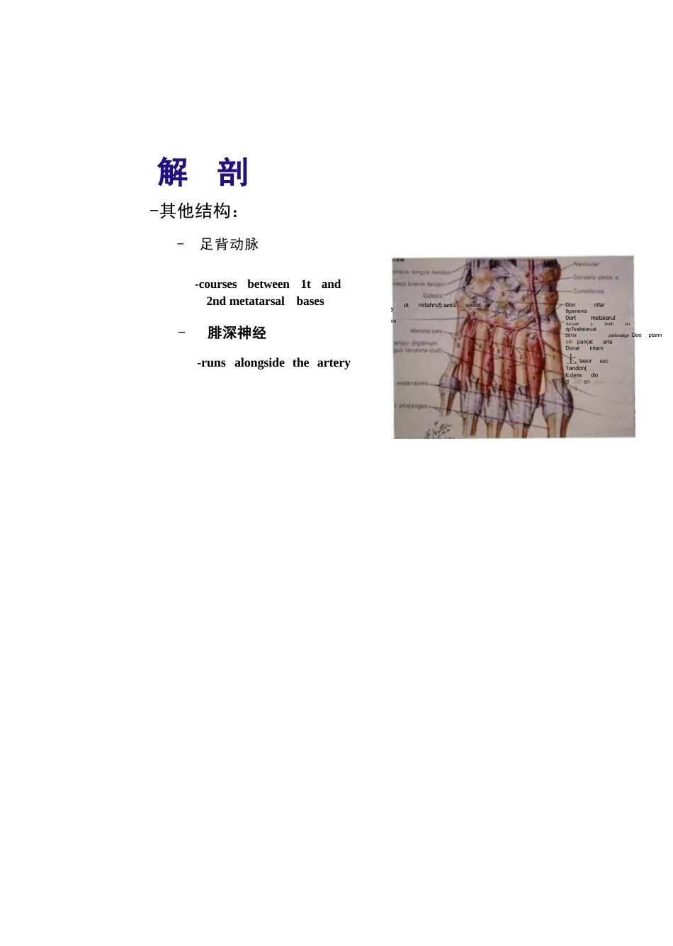 跖跗关节Lisfranc损伤的治疗_第11页