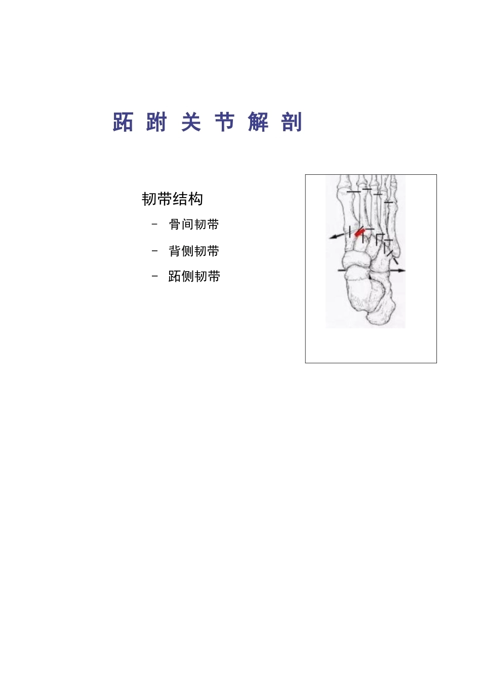 跖跗关节Lisfranc损伤的治疗_第7页