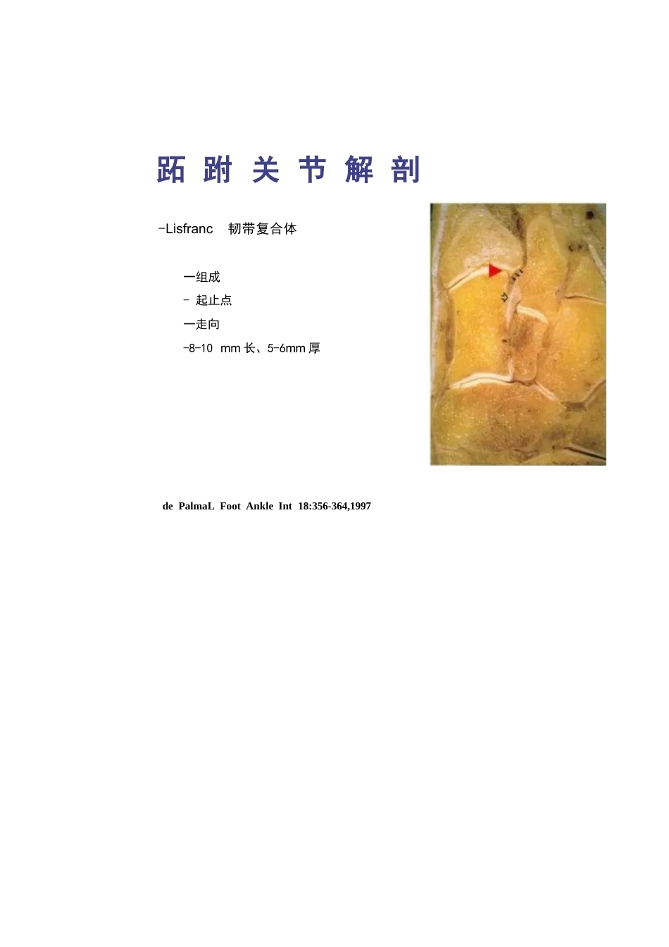 跖跗关节Lisfranc损伤的治疗_第8页