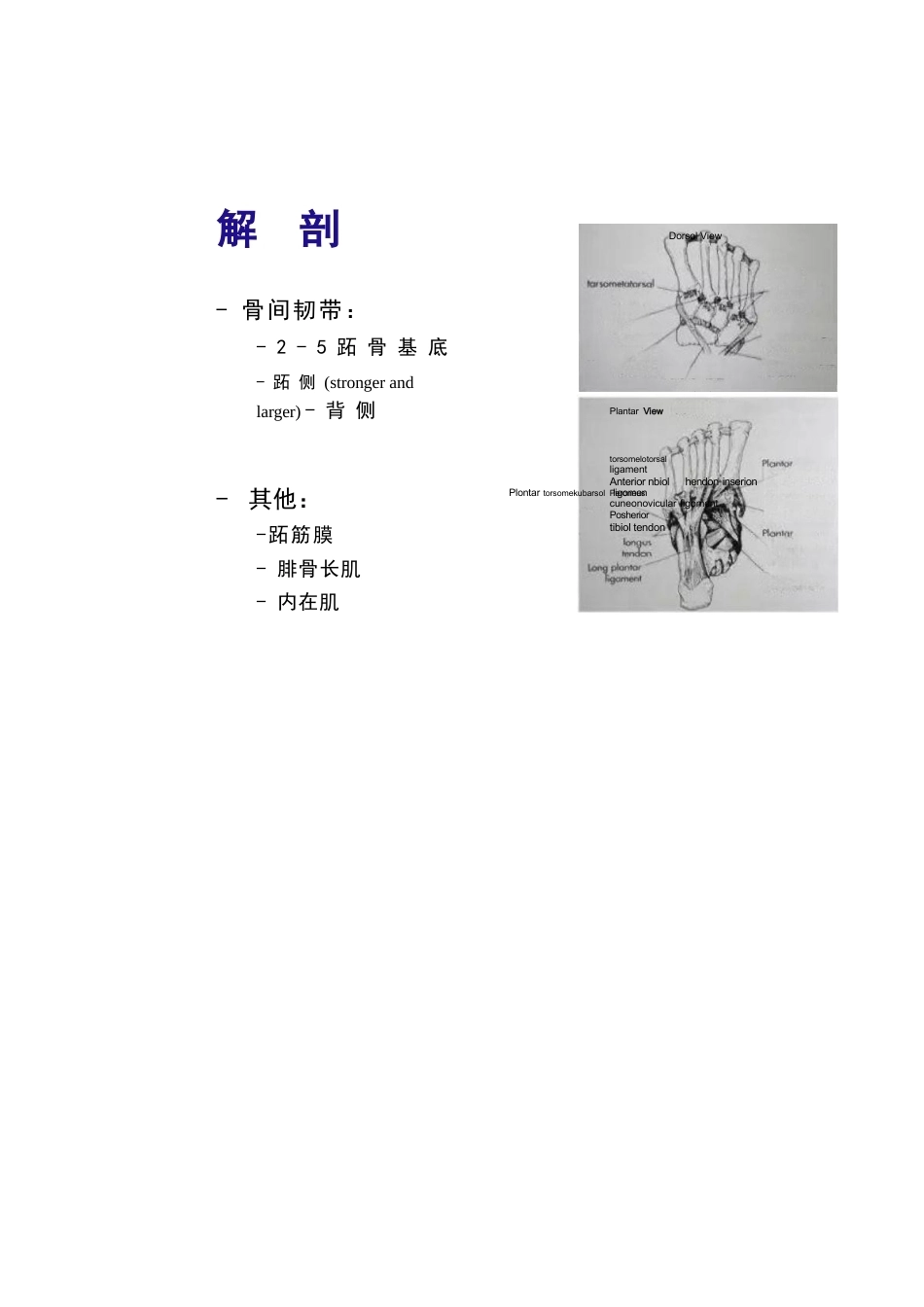 跖跗关节Lisfranc损伤的治疗_第9页