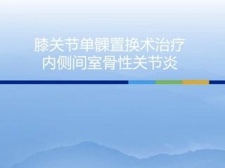 膝关节单髁 置换二