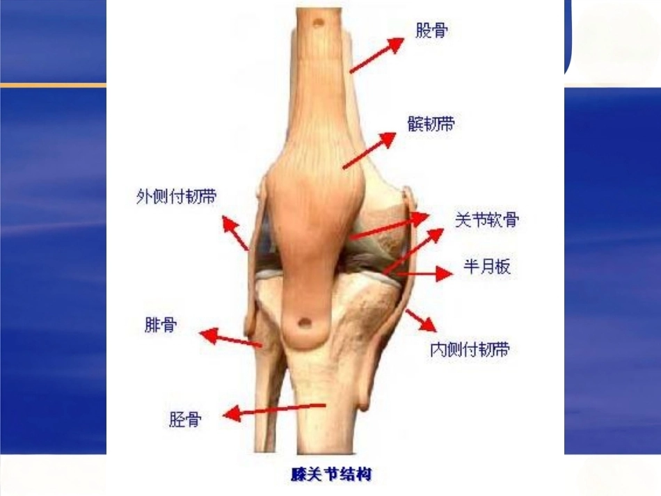 膝关节骨性关节 炎的中西医治疗_第4页
