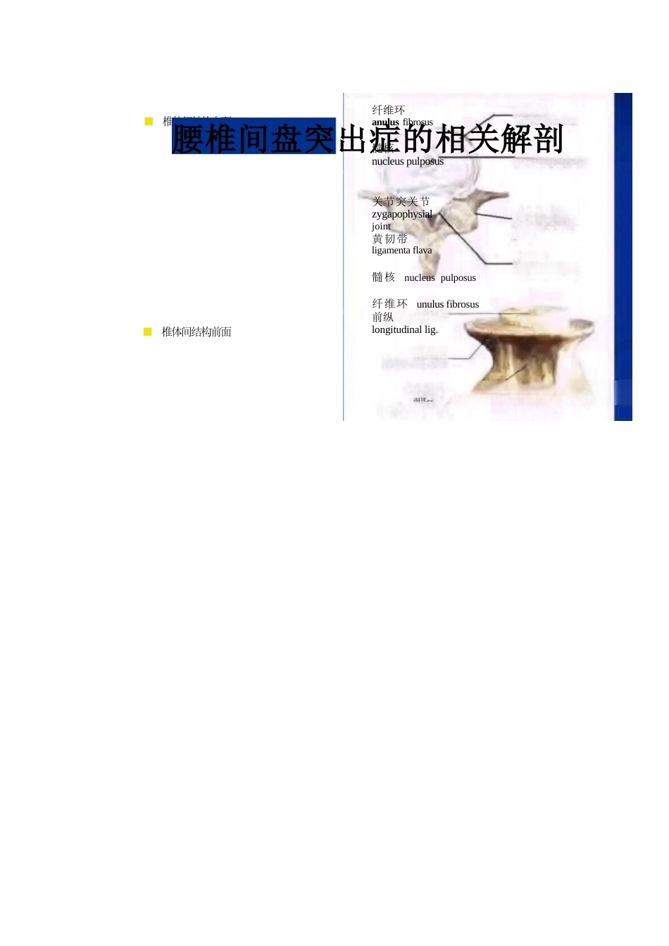 人工全膝关节置换手术 技术汇总_第4页