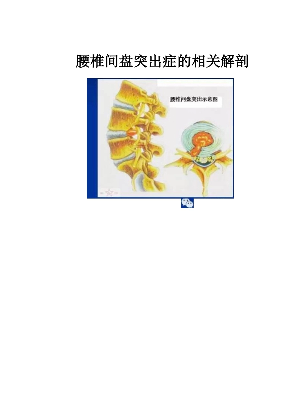 人工全膝关节置换手术 技术汇总_第7页